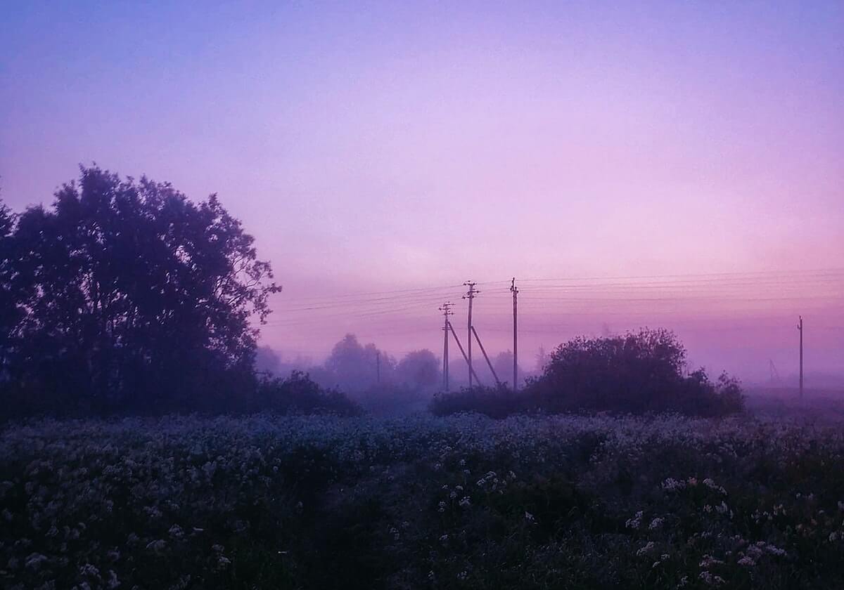 OD体育-湖人连续达成50胜赛季 自09-10&amp;amp;10-11赛季后首次